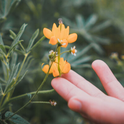 Referenten- und Autorenanfrage