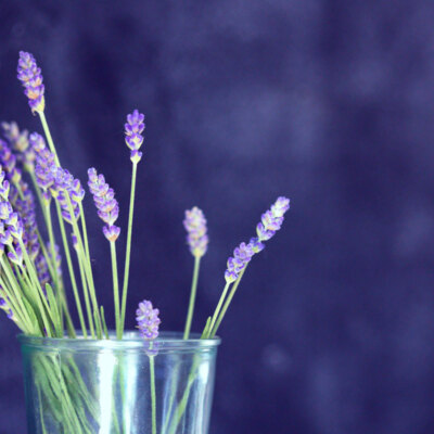 Anthroposophische Medizin und Salutogenese